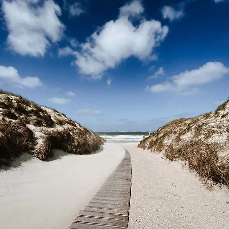 Sonnengelb Norderney